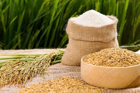 Mẹo Bảo Quản Gạo Để Lâu Không Lo Bị Mọt